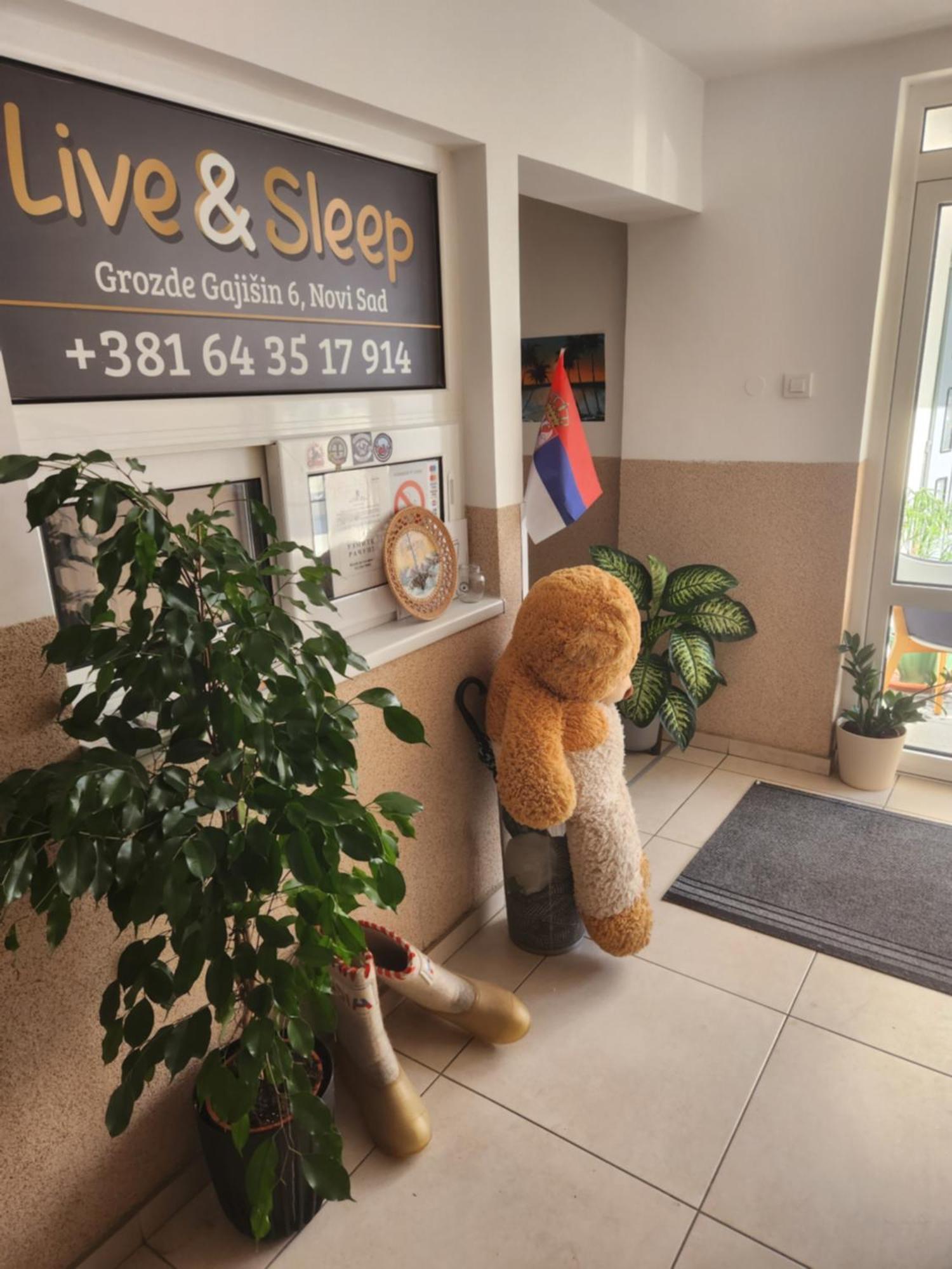 Apartment Live & Sleep